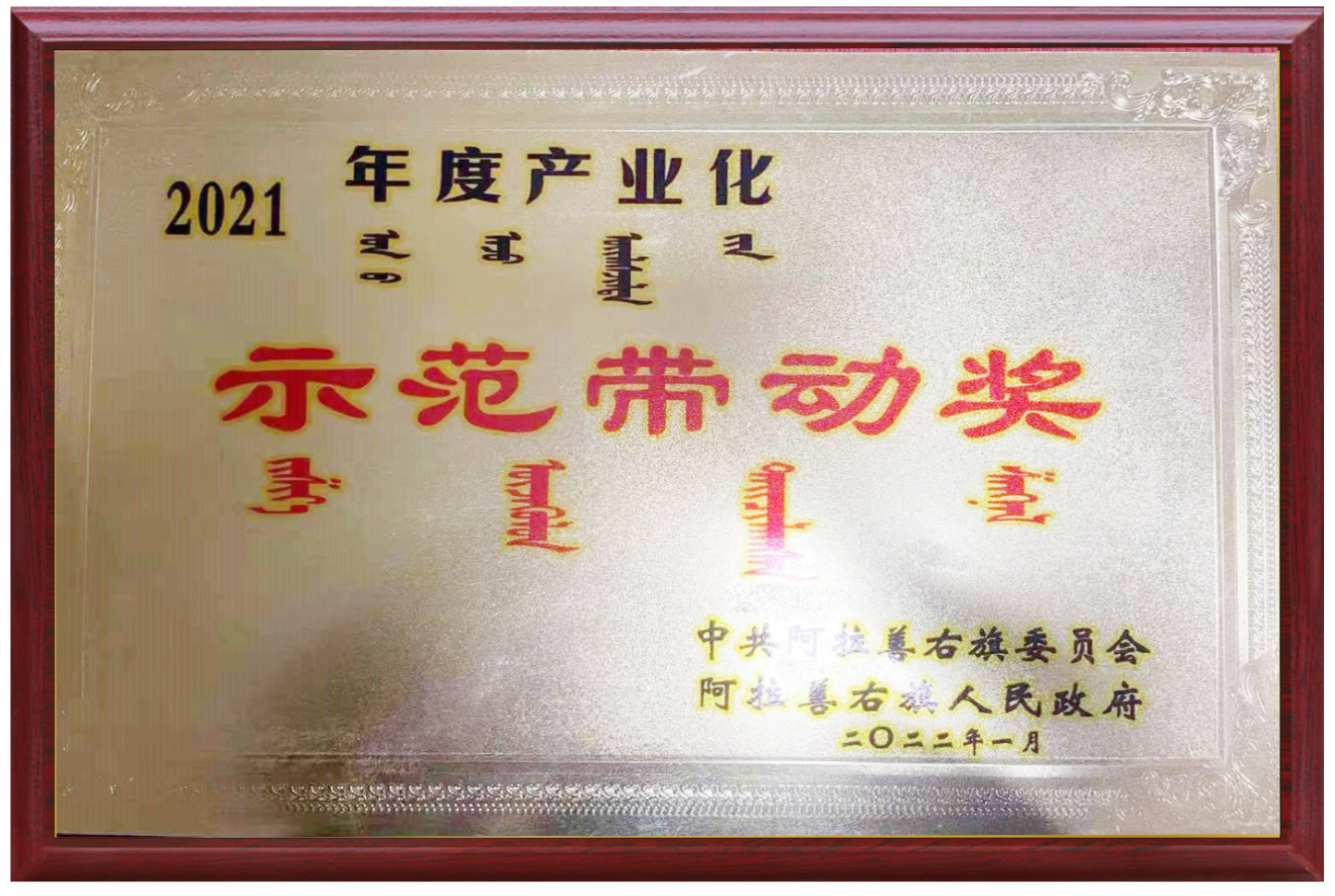 榮譽(yù)2.jpg
