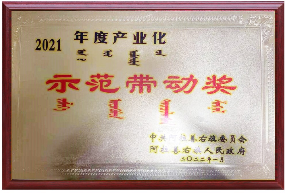 2021年度產(chǎn)業(yè)化示范帶動(dòng)獎(jiǎng)